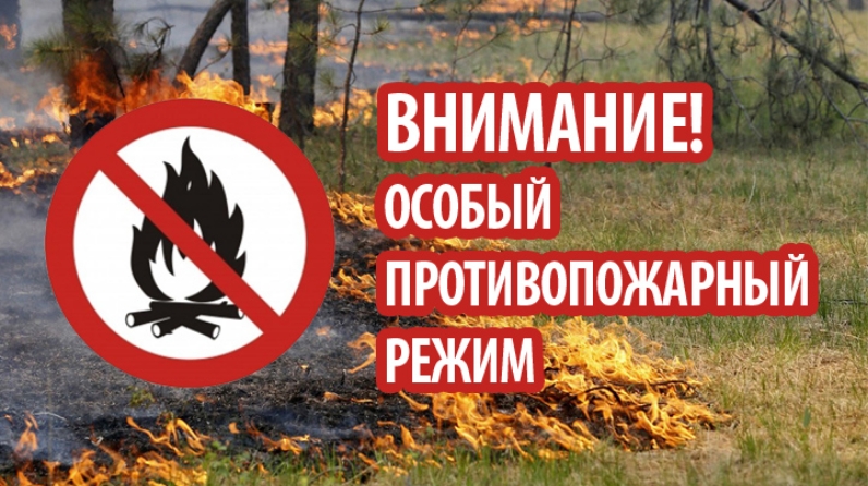 Противопожарный режим на территории Республики Коми.